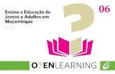 Ensino e Educação de Jovens e Adultos em Moçambique · A situação da educação e formação O Sistema actual Nacional de Educação em Moçam - bique (SNE) entrou em vigor em