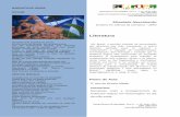 Literatura - Revista Africa e Africanidadesafricaeafricanidades.net/documentos/ESP13-10052011.pdfG.1- Apresentação de jogral com o oriki de Oxum e de Yemanja. Acompanhados de atabaques