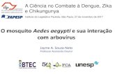 O mosquito Aedesaegypti e sua interação com arbovírusO mosquito Aedesaegypti e sua interação com arbovírus A Ciência no Combate à Dengue, Zika e Chikungunya Instituto do Legislativo