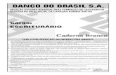 C:TrabalhoKIMBB I CADERNO BRANCO · 2018. 11. 10. · UnB/CESPE – Banco do Brasil S.A. Caderno Branco Cargo: Escriturário – 3 – Texto para os itens de 25 a 35 1 Em meio a uma