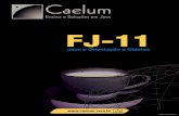 Caelumvhca/caelum-java-objetos-fj11.pdfJava na Universidade de São Paulo, em janeiro de 2004, pelos instrutores da Caelum. Em 2008, a empresa foca seus esforços em duas grandes áreas: