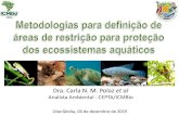 Dra. Carla N. M. Polaz et al€¦ · Invertebrados Aquáticos 78 Invertebrados Terrestres 130 Mamíferos 69 Peixes 154 Répteis 20 Espécies Ameaçadas da Fauna Brasileira: IN MMA