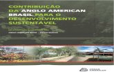 CONTRIBUIÇÃO DA ANGLO AMERICAN BRASIL PARA O .../media/Files/A/Anglo...2 Este é o primeiro relatório da Anglo American Brasil – Metais Básicos para a sociedade. A publicação