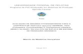 UNIVERSIDADE FEDERAL DE PELOTASguaiaca.ufpel.edu.br/bitstream/123456789/2358/1/Tese... · 2019. 8. 16. · UNIVERSIDADE FEDERAL DE PELOTAS Programa de Pós-Graduação em Sistemas