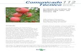 Comunicado112 Técnico · 2013. 9. 4. · No Brasil, ‘Pink Lady’® foi registrada em 1999 no Registro Nacional de Cultivares, do MAPA. Para a safra 2010/11, a Agropecuária Schio