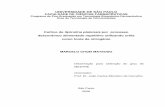 Cultivo de Spirulina platensis por processo descontínuo … · 2006. 12. 18. · como fonte de nitrogênio MARCELO CHUEI MATSUDO Dissertação para obtenção do grau de MESTRE ...