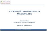 A FORMAÇÃO PROFISSIONAL DE MAGISTRADOS · 2013. 5. 27. · A FORMAÇÃO PROFISSIONAL DE MAGISTRADOS Giovanni Olsson Juiz-Assessor da Direção da ENAMAT Brasília-DF, Maio de 2013
