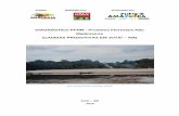 Projeto Realizado por: Financiado por€¦ · A Amazônia possui um território de 5.006.317 Km², dos quais 22,2 % são de Unidades de conservação (UC`s), 21,7% de Terras Indígenas