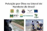 Poluição por Óleo no Litoral do Nordeste do Brasil€¦ · 2019-10-22  · que não correspondem a petróleo cru produzido em território nacional, ou comercializado e transportado