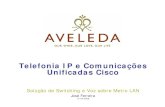 Telefonia IP e Comunicações Unificadas Cisco · 10 O Grupo Aveleda Metas atingidas O 1º. produtor de vinho verde (com a maior área vitícola da região: +160 ha) O 1º. vendedor