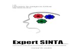 Expert SINTAfab/expert-sinta/manual.pdf3.1 Conceitos rápidos 37 3.2 Guia visual de operações 37 3.3 A consulta 39 3.4 As janelas de acompanhamento 41 3.5 Compreendendo os resultados