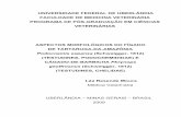 Aspectos morfologicos do figado de tartaruga-da-amazonia...Dados Internacionais de Catalogação na Publicação (CIP) Aspectos morfológicos do fígado de tartaruga-da-amazônia Po-docnemis