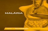 MALÁRIA - Amazon Web Services€¦ · malária, contribuindo para o desenvolvimento de anemia, seja em maior ou em menor grau. Sendo assim, a anemia não tem correlação com a parasitemia