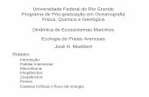 Universidade Federal do Rio Grande Programa de Pós ...netto.ufpel.edu.br/lib/exe/fetch.php?media=dem:dinampraias.pdf · - Um grande número de organismos microscópicos ocupam este