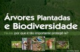 Árvores Plantadas e Biodiversidadeiba.org/datafiles/publicacoes/slideshare/16-biodiversidade-fauna.pdf · Os inimigos naturais controlam de forma natural o número de pragas e de