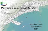 Portos de Cabo Delgado, SA PCD - ENH Logisticsenhlogistics.co.mz/download/Portos de Cabo Delgado, SA.1.pdfPORTOS DE CABO DELGADO, SA (PCD) Empresa constituída pela ENH, E.P. & pelos