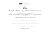 Caso de estudo: Camaragibe, Pernambuco, Brasil · 2017. 12. 21. · análises de estabilidade que são associadas às correspondentes e consequentes ações hidráulicas, de forma