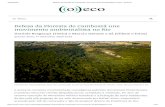 movimento ambientalista no Rio Defesa da Floresta do ......18/09/2020 Defesa da Floresta do Camboatá une movimento ambientalista no Rio - ((o))eco  ...