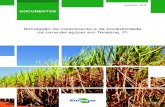 Simulação do crescimento e da produtividade da cana-de-açúcar … · 2019. 1. 7. · No caso da cana-de-açúcar, características bioenergéticas em resposta ao clima, ao solo,