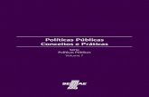 Políticas Públicas Conceitos e Práticas · 6 Políticas públicas – Conceitos e práticas os seus representantes (deputados, senadores e vereadores) e estes mobilizam os membros