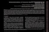 Characterization of Cassava Starch Processed in an 2!/')4 Internal …ainfo.cnptia.embrapa.br/digital/bitstream/item/103900/1/... · 2016. 2. 15. · Silva, M. C. et al. - Characterization