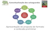 Apresentação de proposta de formato e conteúdo preliminarredd.mma.gov.br/images/salvaguardas/cctsalv_conceitualiz... · 2017. 3. 23. · Salv “b” •Os principais meios para