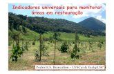 Indicadores universais para monitorar áreas em restauração...restauração. Cobertura para conservação do solo (%) 0,25 Proximidade de unidades de conservação 0,10 Inserção