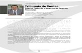 Tribunais de Contas · 2017. 11. 11. · ARTIGOS/DOUTRINAS Tribunal de Contas do Estado do Ceará .:. Revista Controle 28 INTRODUÇÃO Este artigo não trata de defender os tribunais
