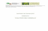 CULTIVO DE CANOLAcanolabr.com/.../tecnologias_anexos_2_74_117_1537376421.pdfO cultivo de canola possui grande valor socioeconômico por possibilitar a produção de óleos vegetais