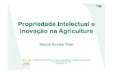 Propriedade Intelectual e Inovação na Agriculturacursos.ufrrj.br/posgraduacao/ppgctia/files/2015/11/...2015/10/28  · Intelectual no Brasil Lei no 10.196/01 -altera e acresce dispositivos