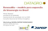 RenovaBio modelo para expansão de bioenergia no Brasil · 2018. 8. 10. · de bioenergia no Brasil Plinio Nastari presidente da DATAGRO representante da sociedade civil no CNPE Conselho