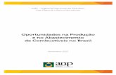 Oportunidades na Produção e no Abastecimento de ...a produção de biocombustíveis no Brasil, apoiar o processo de redução das emissões de gases do efeito estufa e elevar a participação