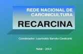 REDE NACIONAL DE CARCINICULTURA RECARCINA · 2013. 11. 8. · Utilização de filtros mecânicos e biológicos no tratamento de efluentes e reutilização do lodo proveniente do cultivo
