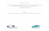Relatório Técnico - Azores · 2020. 7. 17. · (PNIs do Faial e Pico, aqui considerados de forma conjunta em benefício da manutenção da coerência ecológica), à escala do arquipélago,