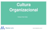 Cultura Organizacional · 2019. 7. 23. · CULTURA ORGANIZACIONAL “Conjunto de pressupostos básicos que um grupo inventou, descobriu ou desenvolveu ao aprender como lidar com os