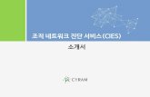 조직 네트워크 진단 서비스(CIES) - CYRAMcyram.com/reference_new/cyram_CIES_2017.pdf서비스 소개 사이람은 구성원 간 소통구조를 측정하고 분석하여,