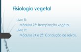 Fisiologia vegetal · 2016. 6. 16. · Fisiologia vegetal Livro 8: Módulos 23: Transpiração vegetal. Livro 9: Módulos 24 e 25: Condução de seivas.