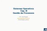 Sistemas Operativos Cap. III Gestão de ProcessosLições de Sistemas Operativos 3.3 Conceito de Processo Um Sistema Operativo executa uma variedade de programas Sistemas batch - jobs