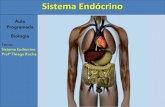 Sistema Endócrino - ursula.com.br · Sistema Endócrino 1) Introdução O sistema endócrino é responsável pelo controle das atividades metabólicas do organismo. Atua a longo
