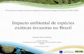 Impacto ambiental de espécies exóticas invasoras no Brasil · 2020. 8. 5. · Espécie representativa em UC: Carpa (Cyprinus carpio Linnaeus 1758) Origem: Ásia e Eurásia Primeiros