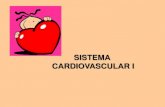 SISTEMA CARDIOVASCULAR Ifisio2.icb.usp.br:4882/wp-content/uploads/2017/02/...Organização geral do sistema cardiovascular DébitoRetorno Venoso Cardíaco Circuito cardiovascular O