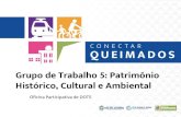 Grupo de Trabalho 5: Patrimônio Histórico, Cultural e Ambientalconectarqueimados.com.br/wp-content/uploads/2019/05/GT5... · 2019. 5. 23. · Oficina Participativa de DOTS GT 5: