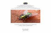 Cartilha de entomologia3 - Ministério da Justiça e ...€¦ · do Departamento de Zoologia do Instituto de Ciências Biológicas da Universidade de Brasília e o Instituto de Criminalística