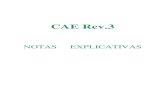CAE Rev - Só Leis · CAE Rev.3 NOTAS EXPLICATIVAS. SECÇÃO A: AGRICULTURA, PRODUÇÃO ANIMAL, CAÇA, FLORESTA E PESCA 01 AGRICULTURA, PRODUÇÃO ANIMAL, CAÇA E ACTIVIDADES DOS