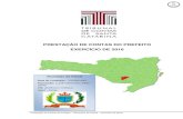 PRESTAÇÃO DE CONTAS DO PREFEITO EXERCÍCIO DE 2016consulta.tce.sc.gov.br/RelatoriosDecisao/... · 2017. 9. 19. · Prestação de Contas de Prefeito – Município de Painel –