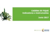 CADENA DE FIQUE Indicadores e Instrumentos Junio 2017 · 2019. 6. 5. · Indicadores Generales CONCENTRACION DE AREA Y LOCALIZACION La principal región productora de fique en el