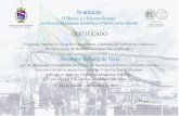 Alexandre Rabello de Faria - Marinha do Brasil · 2017. 11. 28. · Alexandre Rabello de Faria. Seminário 0 BRASIL E A GRANDE GUERRA: interfaces da participação brasileira na Primeira