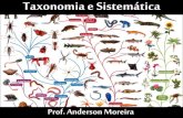 Taxonomia e Sistemática...Taxonomia e Sistemática •Taxonomia (taxis = arranjo, ordem; nomos = lei): ramo da biologia destinada a nomenclatura e descrição dos seres vivos. •Sistemática: