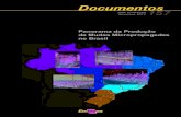 Documentos ISSN 2179-8184 Dezembro, 2012 157 · 2017. 8. 16. · 12 Panorama da Produo de Mudas Micropropagadas no Brasil empregada como uma importante ferramenta para a propagação