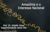Amazônia e o interesse nacional - Encuentromundiaguayfuturo.encuentromundi.org/wp-content/uploads/...1 – Cambios climáticos, Amazonia y la seguranza hídrica de América Latina